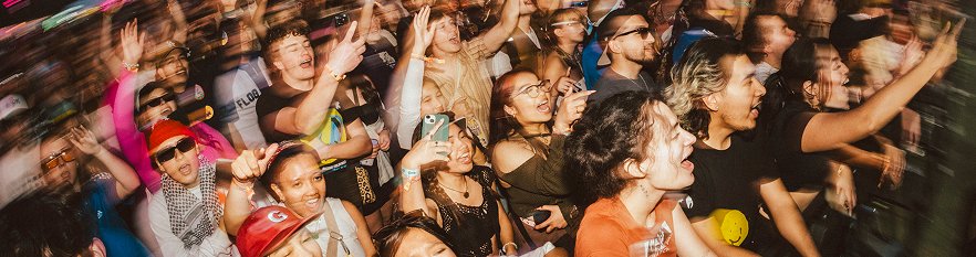 Crowd at an outdoor festival.